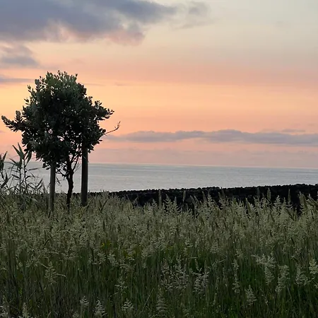 Entre Muros - - Casa Com Jardim E Acesso Direto Ao Mar * 大里贝拉