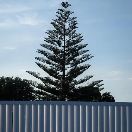 Entre Muros - - Casa Com Jardim E Acesso Direto Ao Mar Ribeira Grande