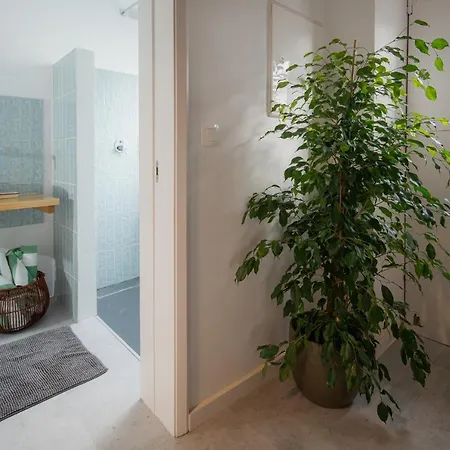 Фермерский дом Entre Muros - - Casas Com Jardim E Acesso Direto Ao Mar