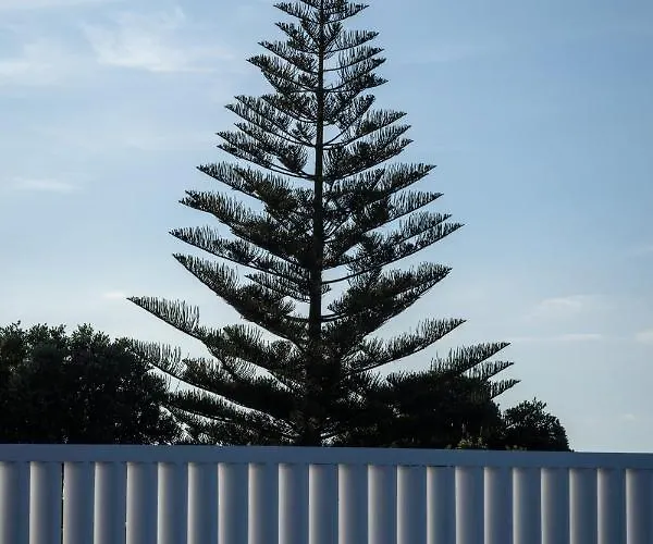 Entre Muros - - Casa Com Jardim E Acesso Direto Ao Mar Ribeira Grande