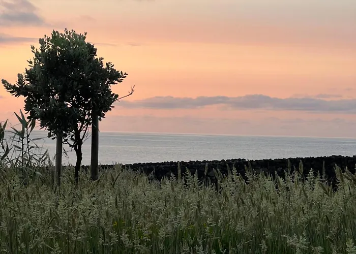 Entre Muros - - Casa Com Jardim E Acesso Direto Ao Mar * Ribeira Grande
